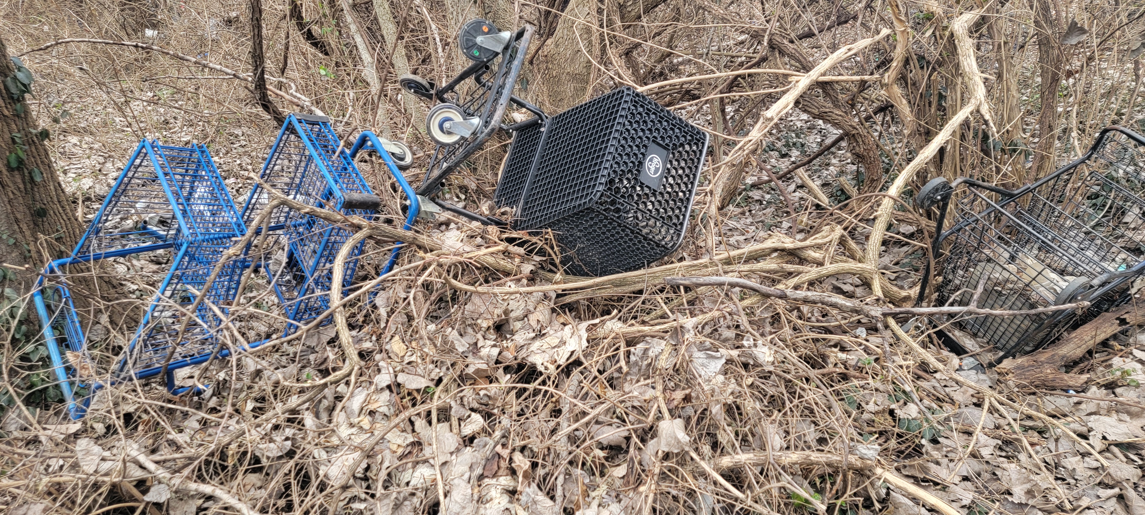 Consistent street outreach presence without conditions or promises.