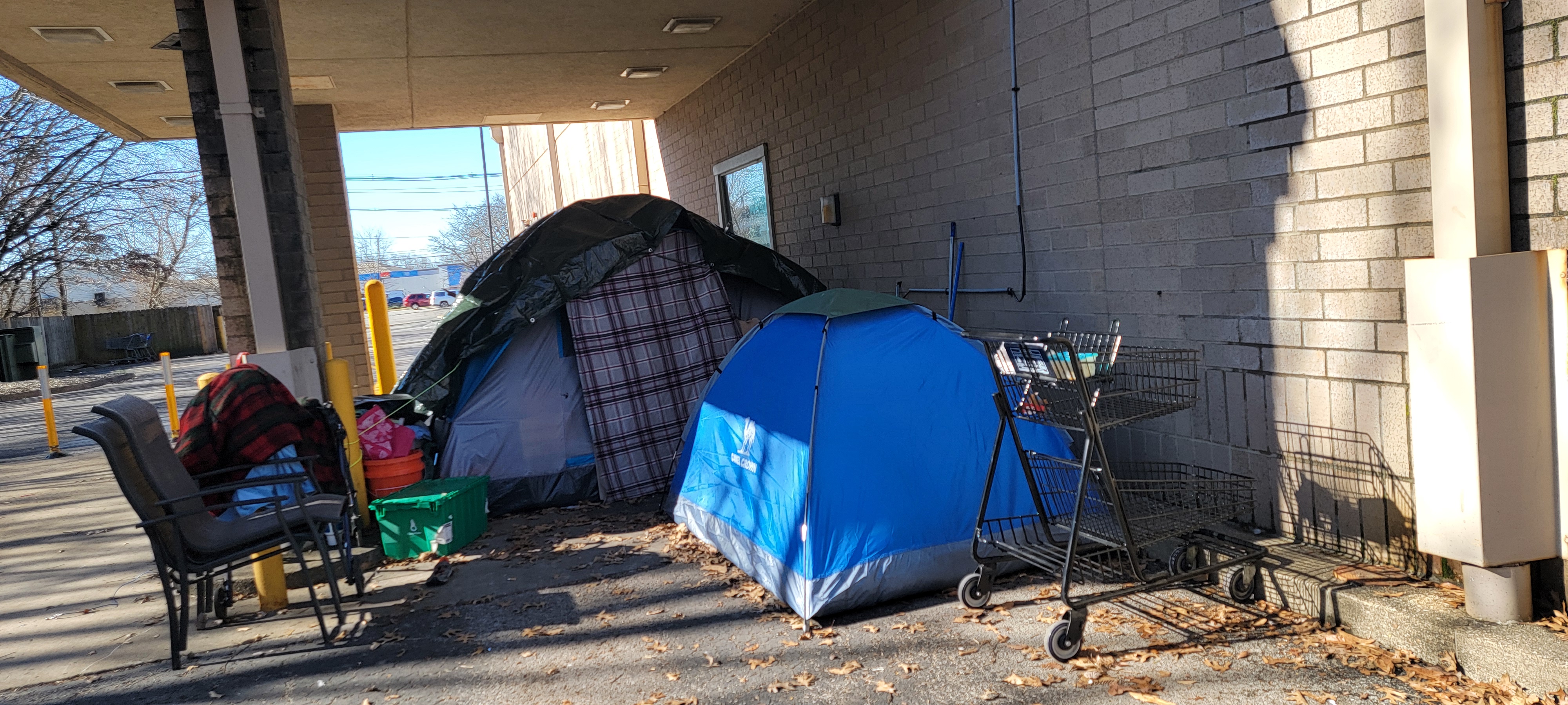 Tented living space in a wooded urban environment